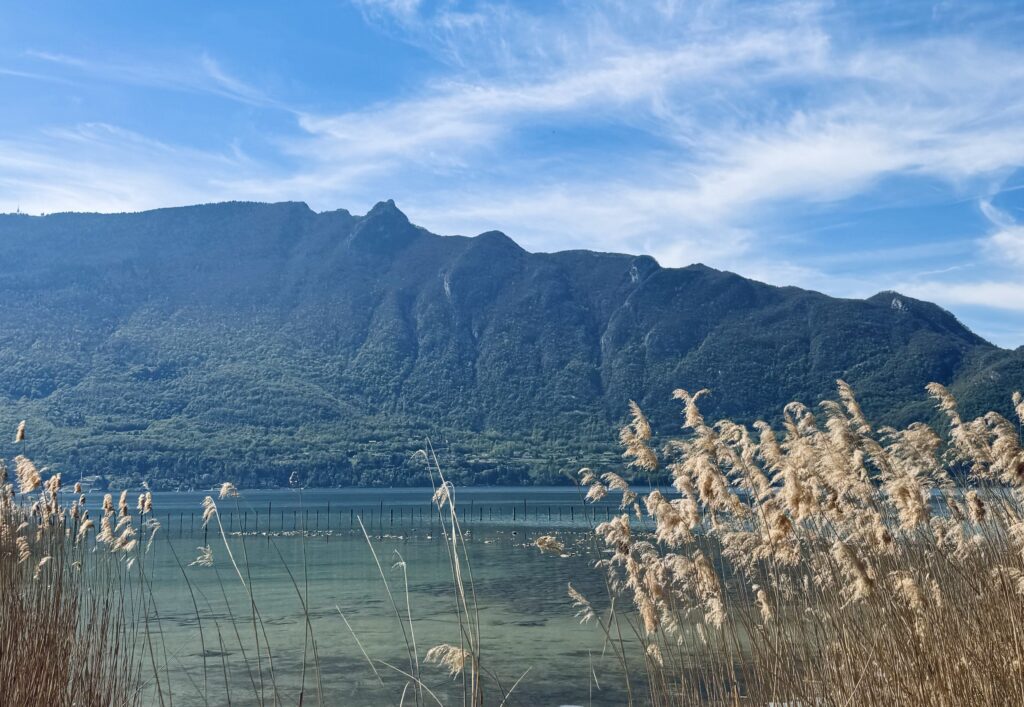 Découvrez le lac du Bourget baignade, plages et activités sportives — free download